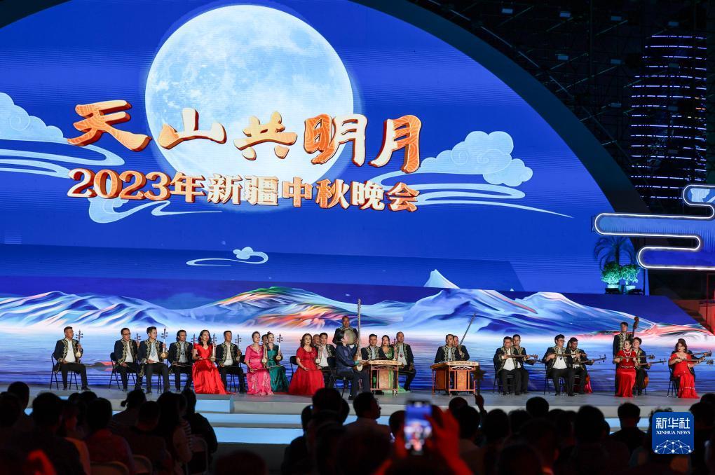 新宝6代理